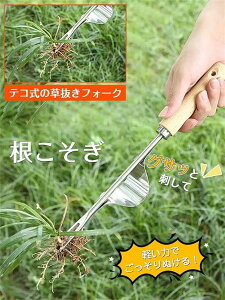   蓹  dO [L d    G G ނ蓹    kL ؉L