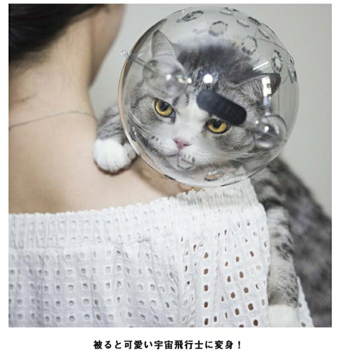 楽天市場】舐め防止 猫カバー エリザベスカラー 調整可能 透明 猫用 