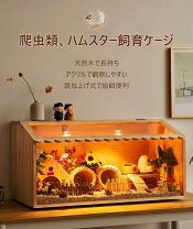楽天市場】ハリネズミ ケージ 木製の通販