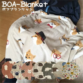 ブランケット ひざ掛け あったかグッズ オフィス おしゃれ ふわふわ ボア付きケット 大判 洗える 防寒 冷房対策 暖かい 冬用 膝掛け