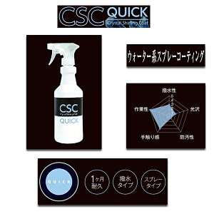 CSC Crystal Shining Coat EH[^[nXv[R[eBO CSCNCbN ^Cv 1Nϋv BSKA1-CS007