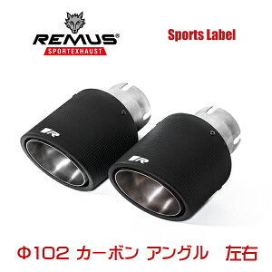 REMUS SPORTS LABEL EXHAUST GOLF6 GTI/GTI �G�f�B�V����35/��p�e�[���P�i ��102 �J�[�{�� �A���O���@���E/0026 70CSR