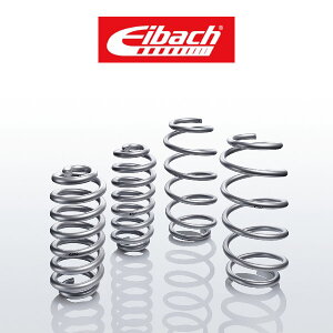 eX fY TESLA Model Y Performance Eibach ACobn PRO Lift Kit vtgLbg tgAbvXvO 30-87-002-01-22