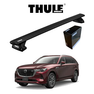 }c_ CX-80 _CNg[t[t EBOo[ EVO ubN wԎʃZbgx THULE Base carriers iX[[x[XLAj