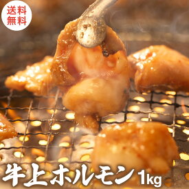 牛上 ホルモン 1kg 冷凍 （500g×2袋） 小腸 白 タレ付き アウトドア BBQ バーベキュー キャンプ 牛ホルモン焼き とんちゃん 焼肉 お取り寄せ グルメ 4〜5人前 みそ味 セット うどん ぷりぷり 新鮮 牛もつ 入学 入園 お歳暮 御歳暮 歳暮 冬 ご馳走
