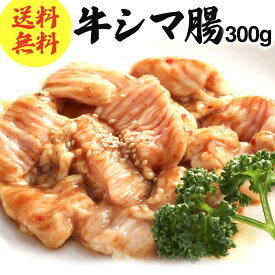【セット 買いで 増量中 !】牛シマ腸（ テッチャン ）300g ぷりぷり ホルモン 味付 シマチョウ アウトドア BBQ 焼肉 肉厚 バーベキュー ホルモン焼き 新鮮 焼肉セット お取り寄せ グルメ〈セット買い で 増量中 5セット まで〉 送料無料