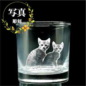 bN OX ʐ^   ThuXg IWi I[_[Ch a  ސE LOi Mtg v[g ̓ ̓ hV̓ ʐ^  bNOX OXS