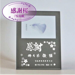 ~[ tHgt[@꒤ʐ^ Ӎ LOi ސE  a җ j Mtg