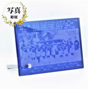  ʐ^ ~[[t u[ STCY   jg  c ސE LOi \ JX  j