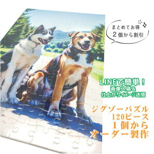 WO][pY 120s[X IWi J[vg ؓ] ʐ^ Mtg