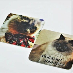 R[X^[ 2g IWi ʐ^ vg ƋLO Mtg v[g  ̓ a ̓