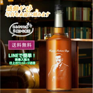 o[{ ʐ^   Mtg ̓ hV̓ v[g җ ސE j LOi  {g ʐ^  I.W.n[p[ S[h_ 700ml