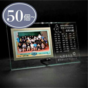 y50ȏŒz  fUC AtHgt[ KX L ʐ^ LOi  c ސE