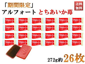 AtH[g Ԍi Ƃ  `R[g XibN َq 272g 26 