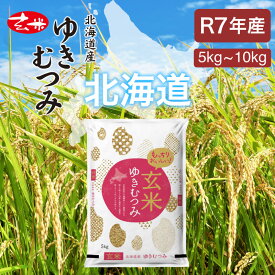 ＜期間限定値下げ中＞【令和7年産 新米】北海道産 新銘柄 5kg 玄米 ゆきむつみ「新品種シリーズ」 食物繊維 粘りが維持 白米と遜色ない アミロースが低い　北海道　仁木町　銀山産