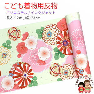  qp 12m  ؂₩ȌÓT { |GXe d ܎O WjAɁuxsNnAeƔ~vKG-034-RED