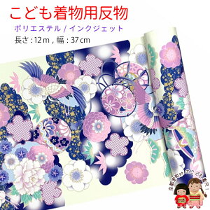  qp 12m  ؂₩ȌÓT { |GXe d ܎O WjAɁunA߂Ɖ_vKG-037-NVY