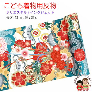  qp 12m  ؂₩ȌÓT { |GXe d ܎O WjAɁuΌnAɏ|~vKG-049-GRN