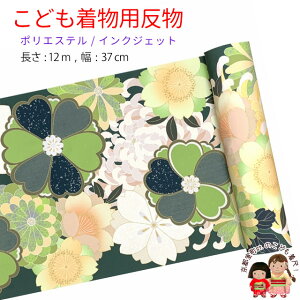  qp 12m  ؂₩ȌÓT { |GXe d ܎O WjAɁuΌnAeƍvKG20-A-GRN