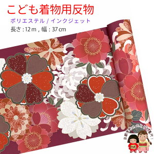  qp 12m  ؂₩ȌÓT { |GXe d ܎O WjAɁu񂶌nAeƍvKG20-A-RED