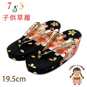 q ܎O 5-7 ̎q En Oc KF17.5cm-18.5cmuxԁAvGZO195-641