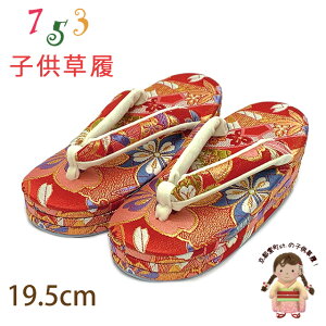 q ܎O 5-7 ̎q En Oc KF17.5cm-18.5cmuԌnAlƍvGZO195-652
