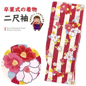 ڑ U Pi Ǝ X   t[TCY @uԌnAXgCvvTNS956