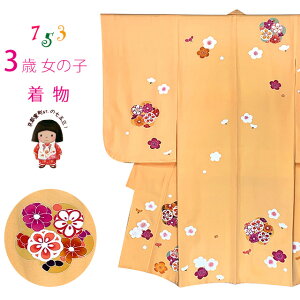 ܎O  3 ̎q  GH H `FT Ocg̎q ̂݁uFA~vOK3K-2389