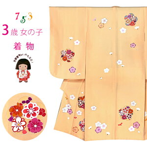 ܎O  3 ̎q  GH `FT Ocg̎q ̂݁uFnA~vOK3K-2390