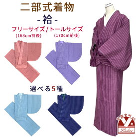 二部式着物 洗える着物 袷 フリーサイズ/トールサイズ「選べる5色 江戸小紋調」ANBAw