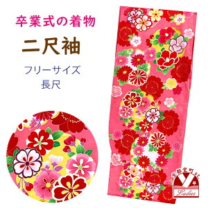 ڑ U   p  t[TCY @ Ǝ̌тɍ킹āusNAւƍvDNK2406