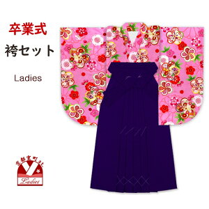 Ǝ уZbg qp w ̓ڑ U n(M^LTCY) 2_Zbg @usNA˂~vDNK2416BMM