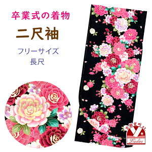 ڑ U   p  t[TCY @ Ǝ̌тɍ킹āunAKNvDNK2420