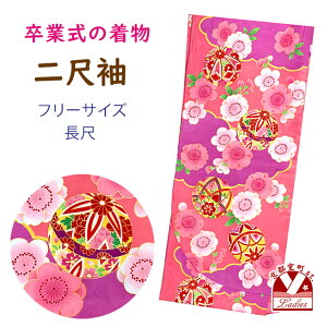 ڑ U   p  t[TCY @ Ǝ̌тɍ킹āusNxA_ƋfvDNK2421