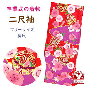 ڑ U   p  t[TCY @ Ǝ̌тɍ킹āuxA_ƋfvDNK2422