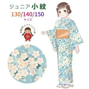 ジュニア着物 小紋 袷 襦袢付き 上品で可愛らしい古典柄のジュニア女子用 洗える着物 130cm 140cm 150cm 「選べる6色」ABJ 購入 販売