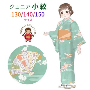 ジュニア着物 小紋 袷 襦袢付き 上品で可愛らしい古典柄のジュニア女子用 洗える着物 130cm 140cm 150cm 「選べる6色」ABJ 購入 販売