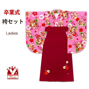 Ǝ уZbg qp w ̓ڑ U hJ(M^LTCY) 2_Zbg @usNA˂~vDNK2416HS-R