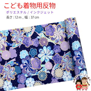  qp 12m  ؂₩ȌÓT { |GXe d ܎O WjAɁulCr[nt@^XeBbNA~vKG-017-L-NVY