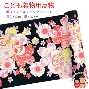  qp 12m  ؂₩ȌÓT { |GXe d ܎O WjAɁunAࣖEfvKG-045-BLK