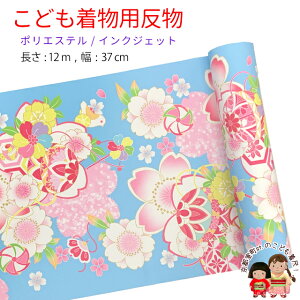  qp 12m  ؂₩ȌÓT { |GXe d ܎O WjAɁuFAࣖEfvKG-045-BLU