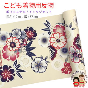  qp 12m  ؂₩ȌÓT { |GXe d ܎O WjAɁuN[nA|~EvKG-046-CRM