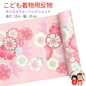  qp 12m  ؂₩ȌÓT { |GXe d ܎O WjAɁusNA|~EvKG-046-PNK