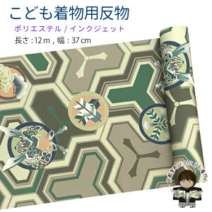  qp 12m  ÓT { |GXe d j̎q ܎O WjAɁuuExO[ATbvKG-050-GRN