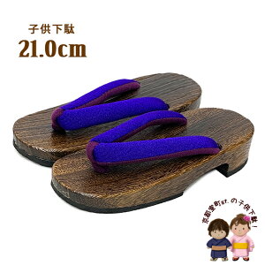 q LbY j̎q ̎qp Eh^ ċˉ 21.0cmunvGTK210-2424