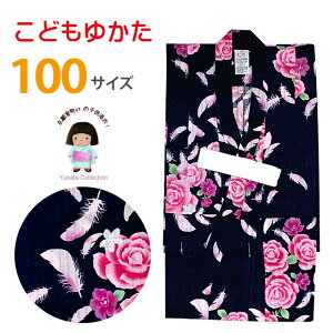  q ̎q 100cm VbNłȎq 100TCYuAKNƃtFU[vTGY-10-2463