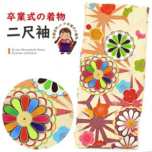 Ǝ̒ 䕿̓ڑ(U) PiuN[n eɔ~vKNS738