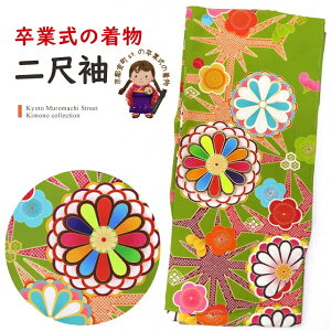 Ǝ̒ 䕿̓ڑ(U) Piu eɔ~vKNS745