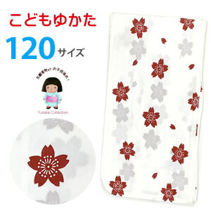  q ̎q 120cm ǂ䂩 g Vv ՂɁunAvOGY25-12-54tan