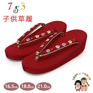  ܎O sw 3 7 ̎q q ߂񐶒n  16.5cm/18.0cm/21.0cmuԁAvOKGZ-14045